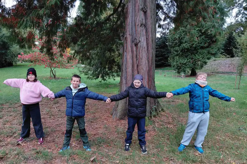 Den stromů v 3. C