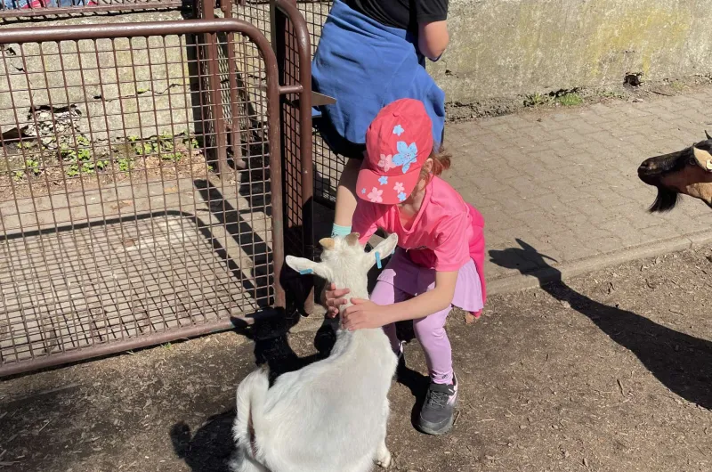 ZOO