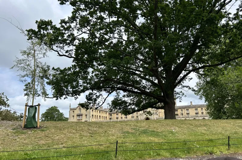 Cambridge