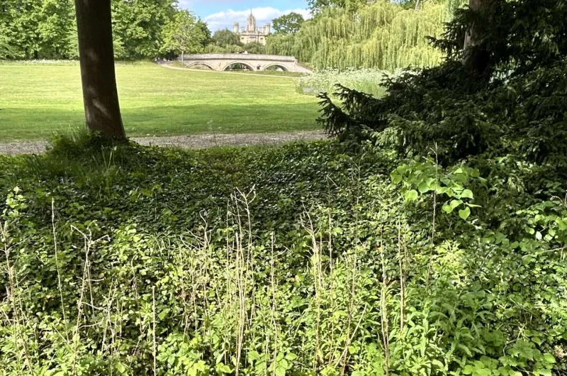 Cambridge