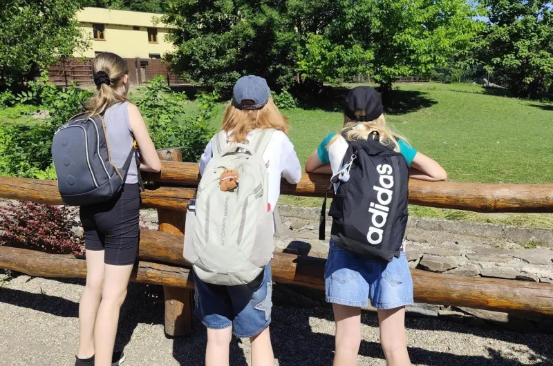 Zakončení školního roku se školním parlamentem 🦁🚂
