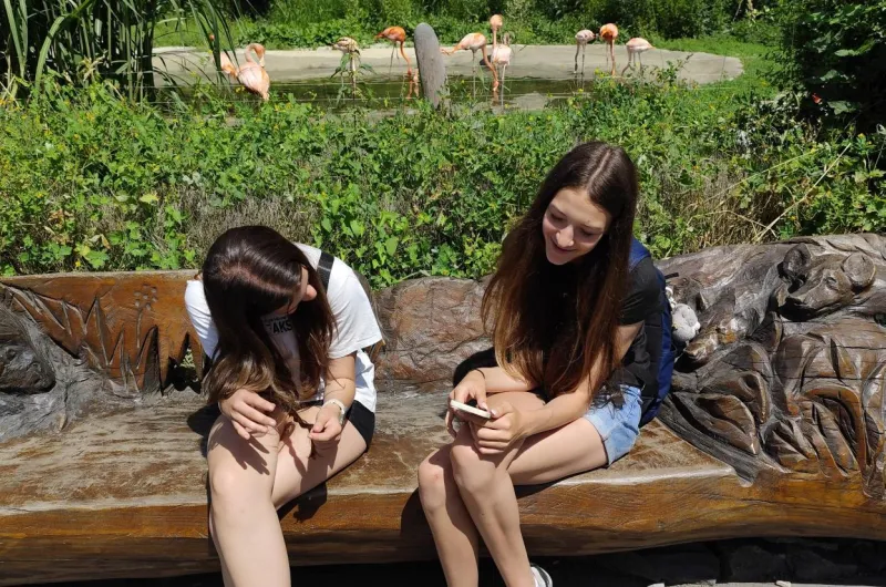 Zakončení školního roku se školním parlamentem 🦁🚂
