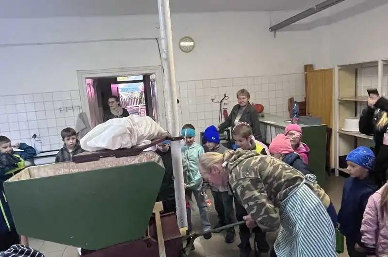 Moštování