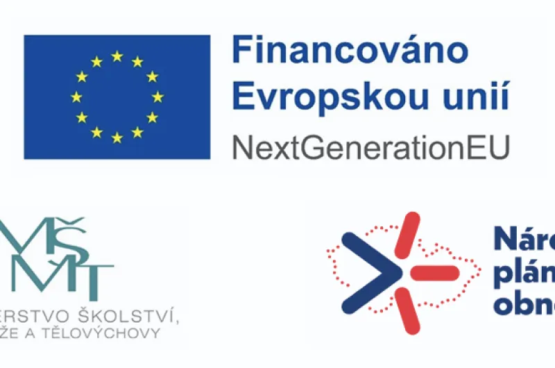 image_2025-10-25_203005421