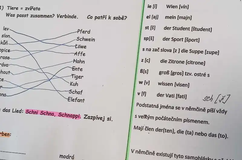 Evropský den jazyků