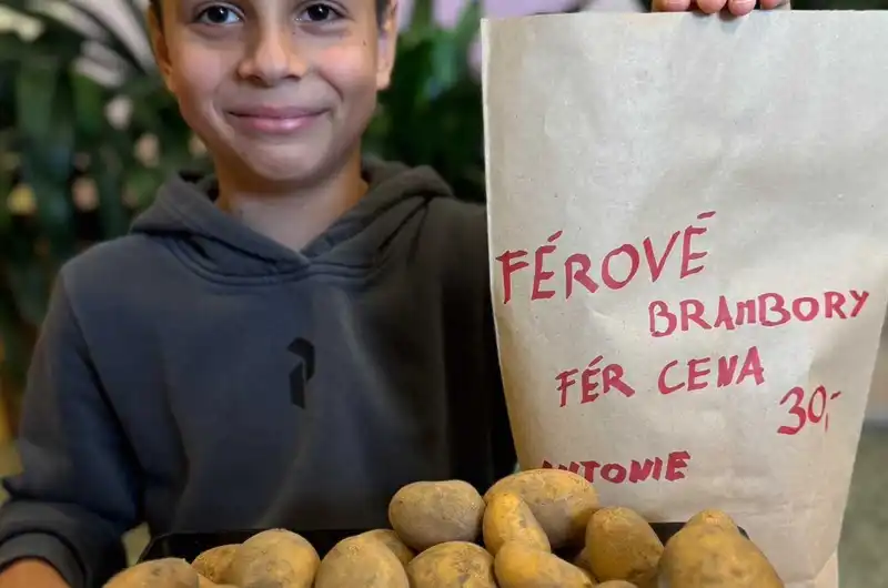 Fair Trade v 5. ročníku
