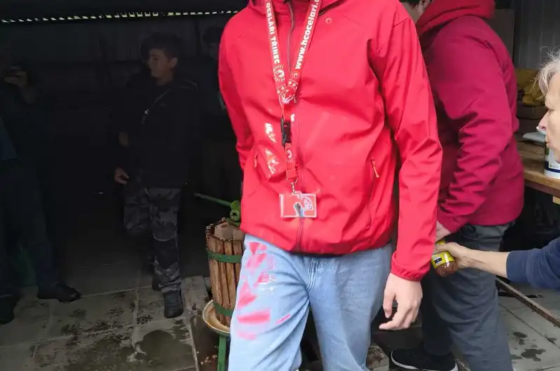 Moštování